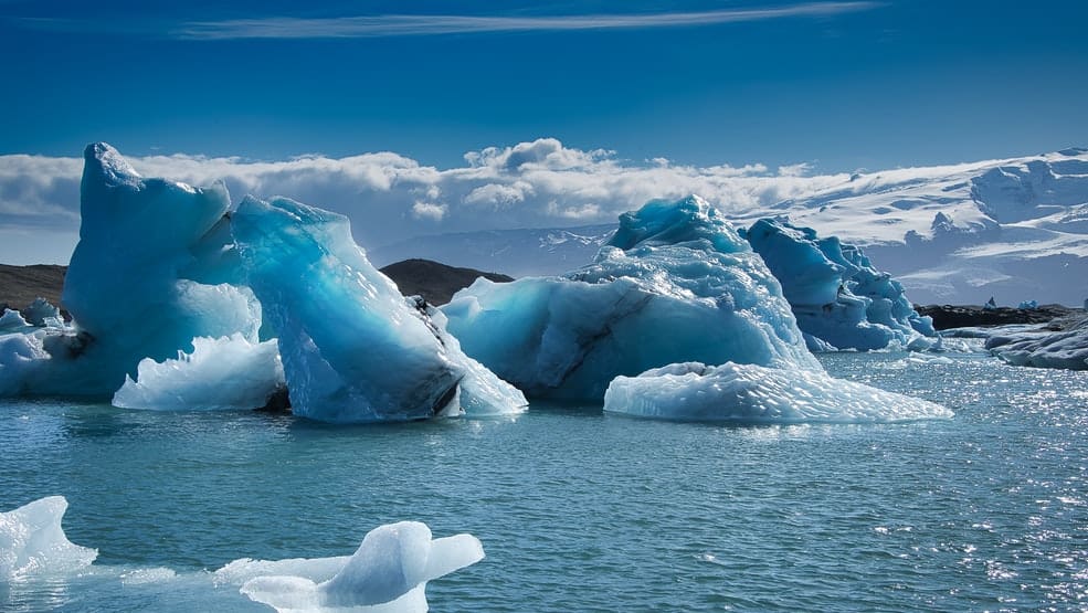 Extreme life under Antarctic ice shelf shocks researchers